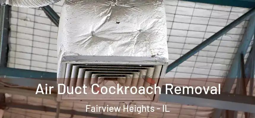 Air Duct Cockroach Removal Fairview Heights - IL