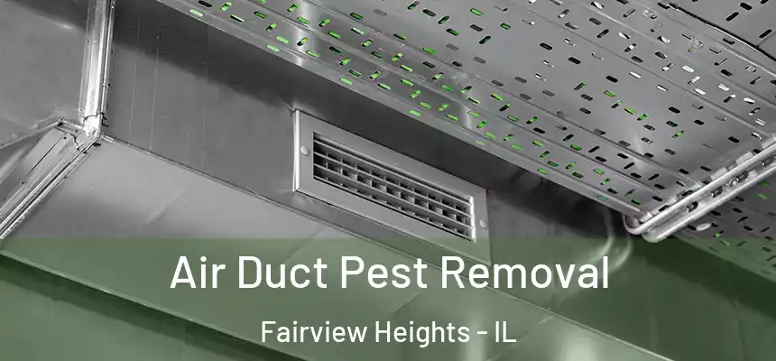  Air Duct Pest Removal Fairview Heights - IL