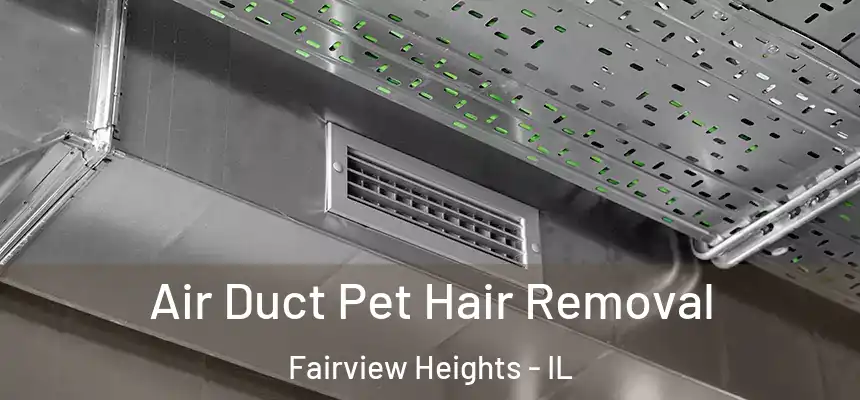  Air Duct Pet Hair Removal Fairview Heights - IL
