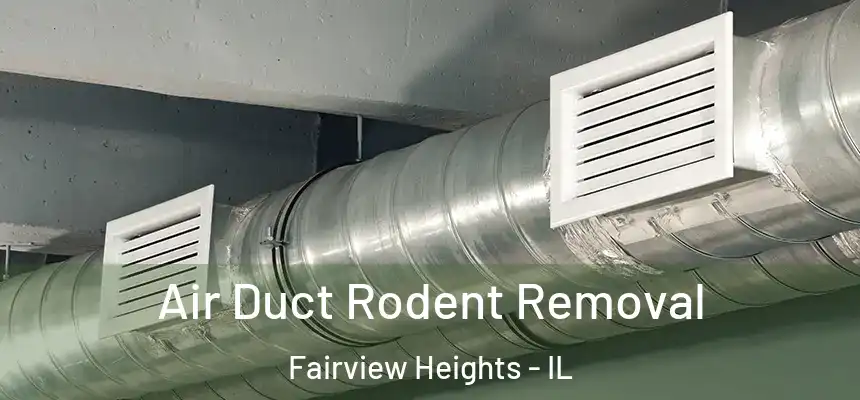 Air Duct Rodent Removal Fairview Heights - IL