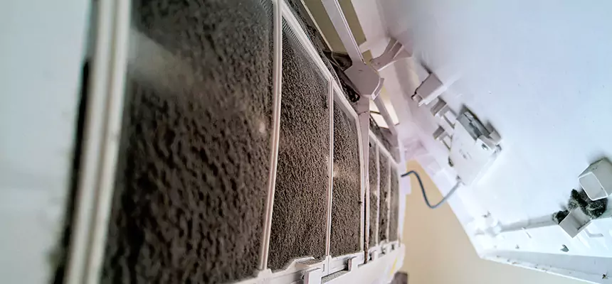 Preventive Air Duct Bacteria Removal in Fairview Heights