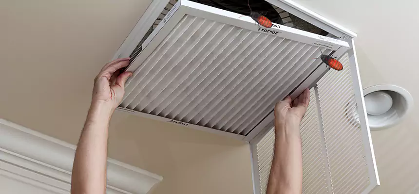 Preventive Cockroach-Proofing for Ducts in Fairview Heights