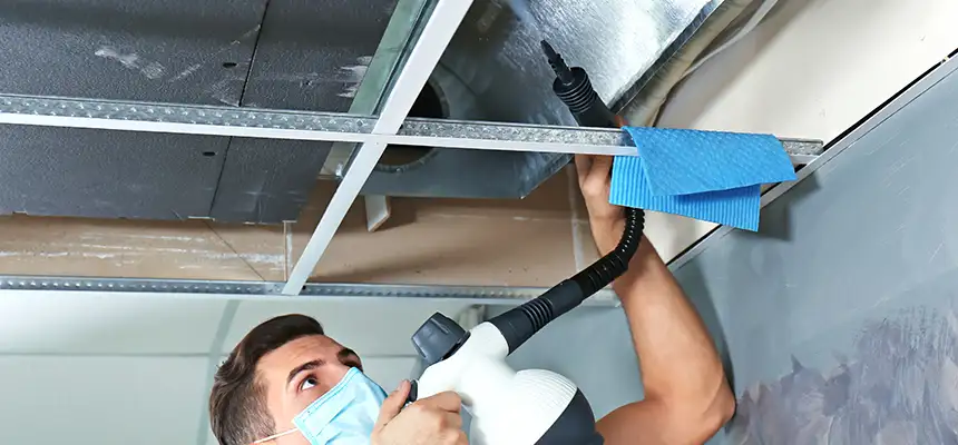 Our Air Duct Rodent Removal Services in Fairview Heights, IL