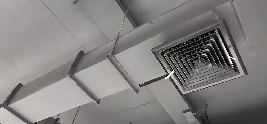 Our Rodent Droppings In Vents Services in Fairview Heights, IL