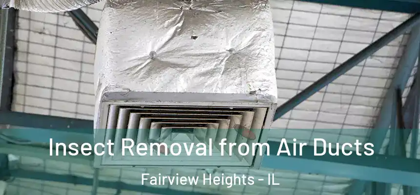  Insect Removal from Air Ducts Fairview Heights - IL