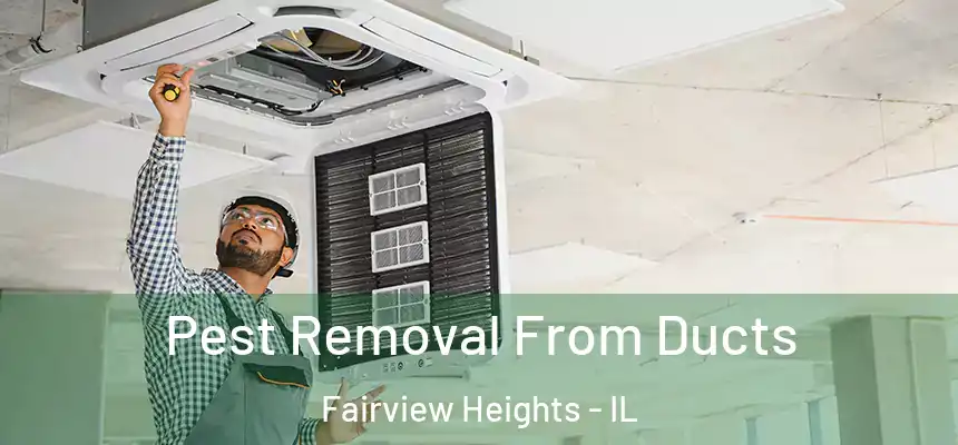  Pest Removal From Ducts Fairview Heights - IL
