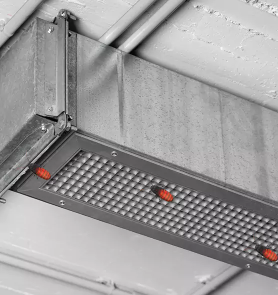 Affordable Insect Removal from Air Ducts in Fairview Heights, IL