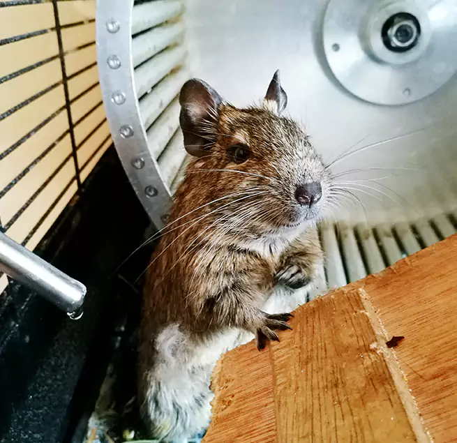 Why Homeowners & Businesses Trust Us Fairview Heights, IL