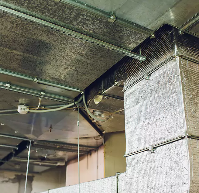 Why Homeowners & Businesses Trust Us in Fairview Heights, IL?